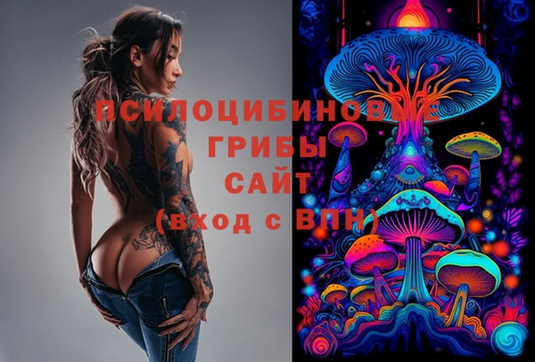 ECSTASY Дмитровск
